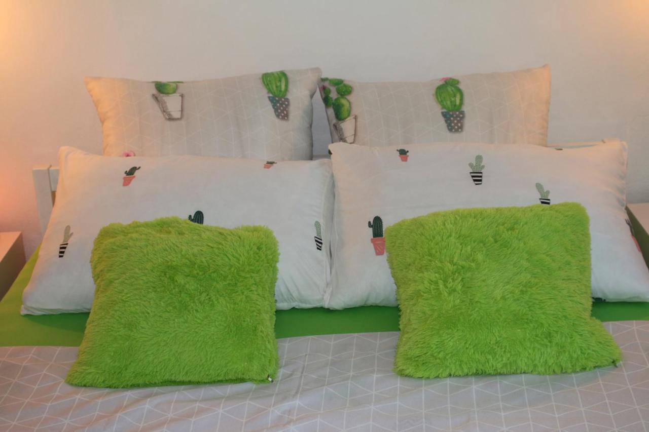 Green Cactus Rooms - Unique And Cozy House Senta Buitenkant foto