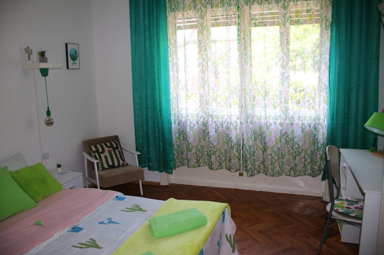 Green Cactus Rooms - Unique And Cozy House Senta Buitenkant foto