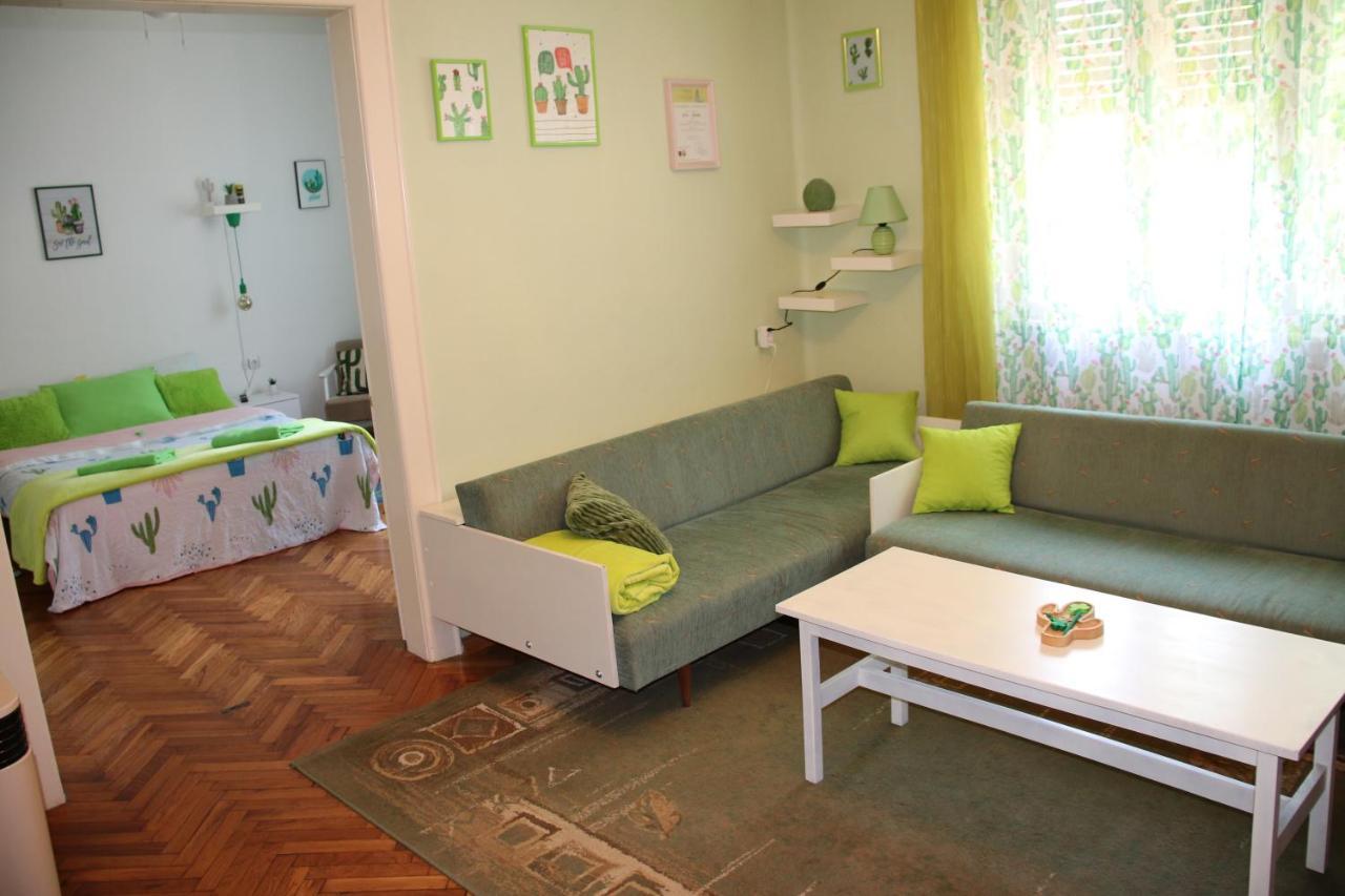 Green Cactus Rooms - Unique And Cozy House Senta Buitenkant foto