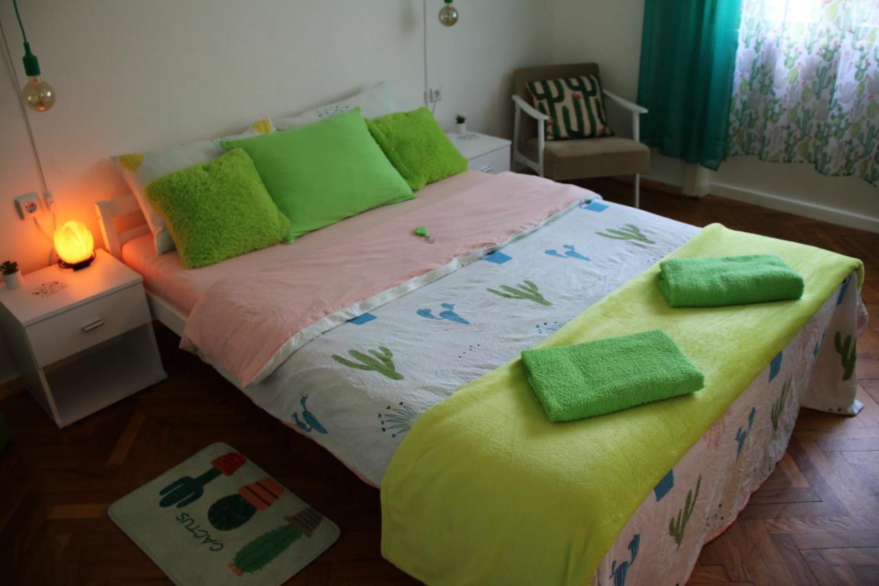 Green Cactus Rooms - Unique And Cozy House Senta Buitenkant foto