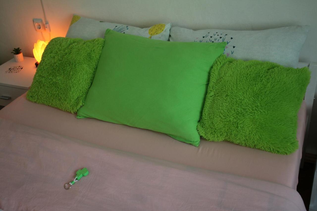 Green Cactus Rooms - Unique And Cozy House Senta Buitenkant foto