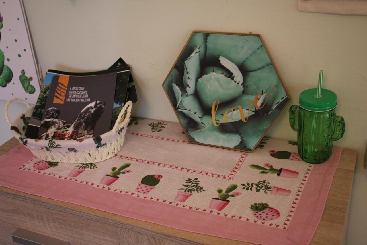 Green Cactus Rooms - Unique And Cozy House Senta Buitenkant foto