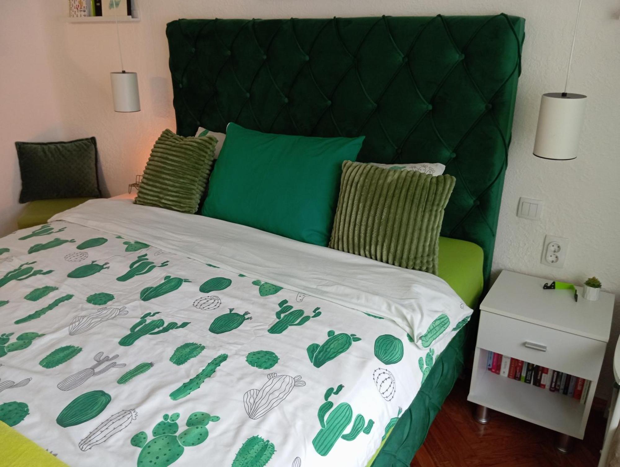 Green Cactus Rooms - Unique And Cozy House Senta Buitenkant foto