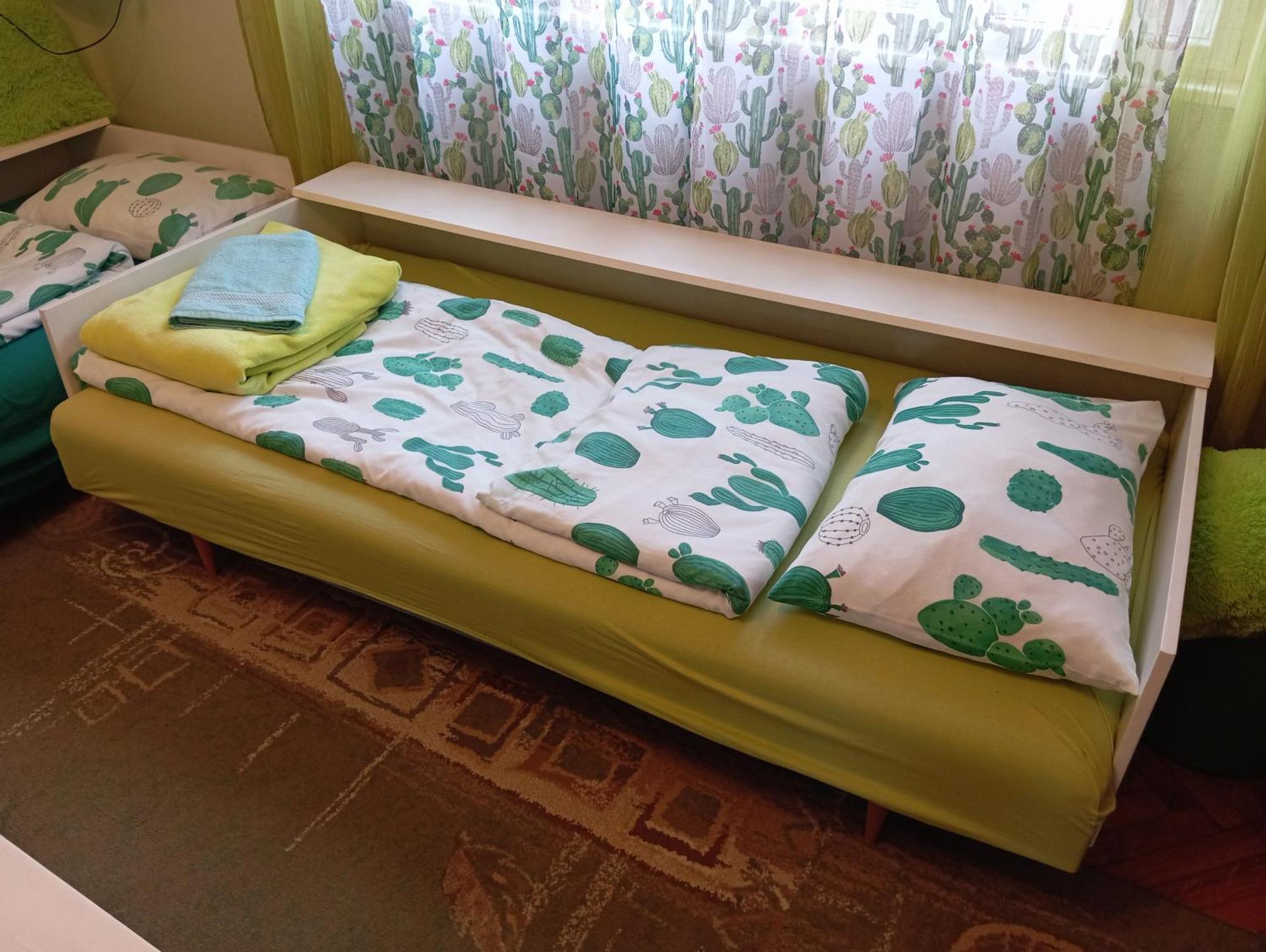 Green Cactus Rooms - Unique And Cozy House Senta Buitenkant foto
